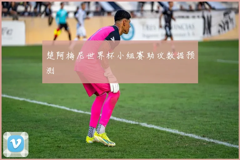 楚阿梅尼世界杯小组赛助攻数据预测