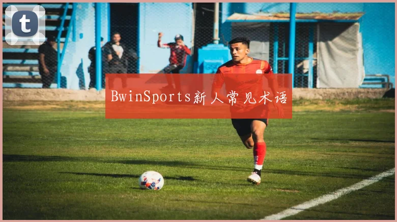 BwinSports新人常见术语